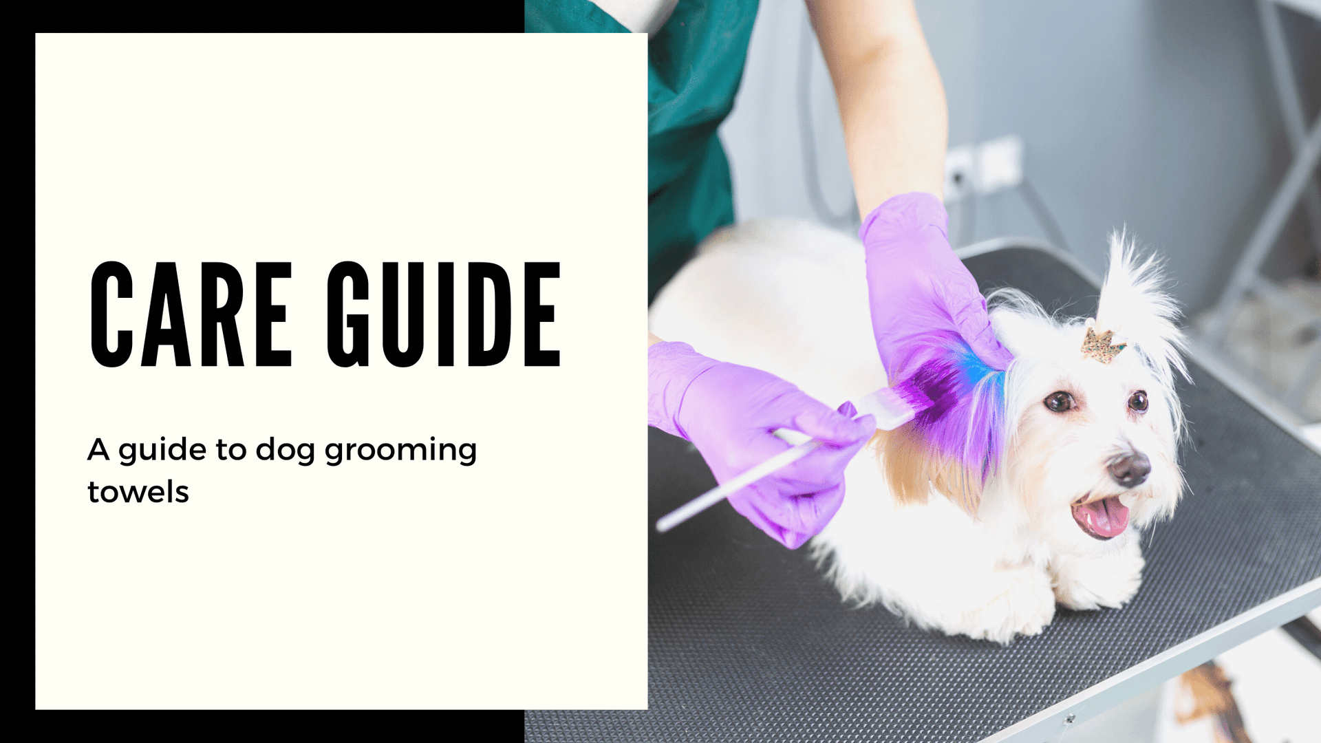 Dog Grooming Guide