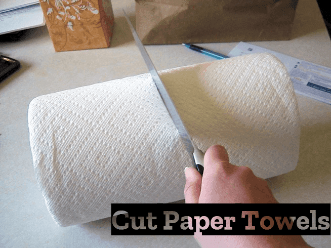 Cut Your Dependence on Paper Towels