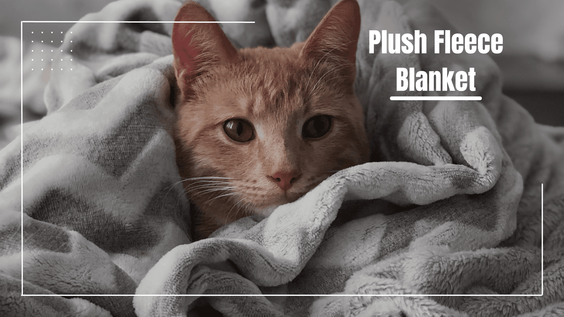 Plush Lightweight Warmth: The Perfect Blanket For Any Season