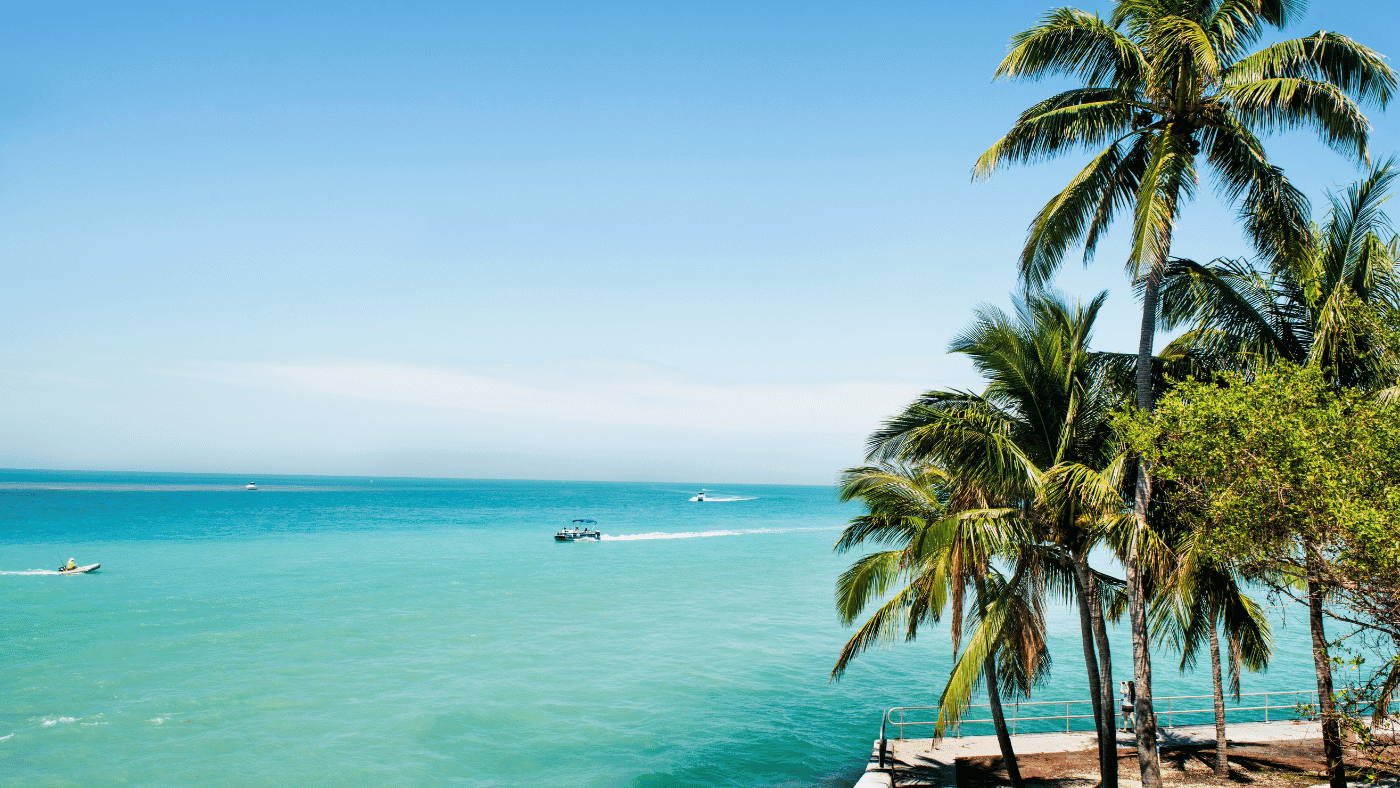 Towel Care Tips for Florida's Humid Climate