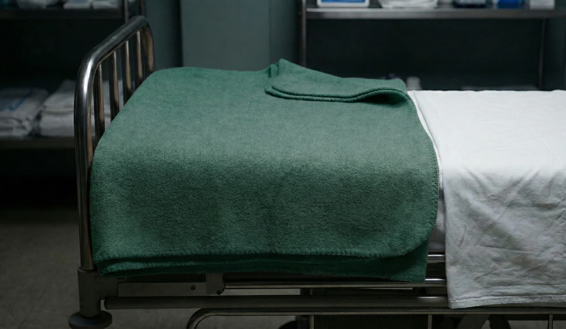 Polar Fleece Blanket - Image 3