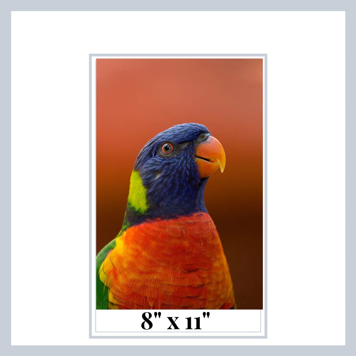 Digital Printing Flour Sack Towels 29x29