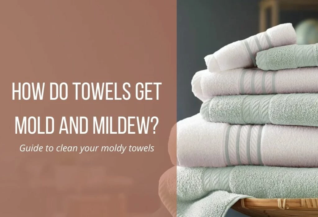 how to remove mold from towels moldy towels guide to remove molds moldy towels guide to remove molds How to Remove Mold from Towels